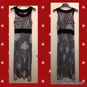SUSAN LAWRENCE WOMAN MAXI  2X NWOT